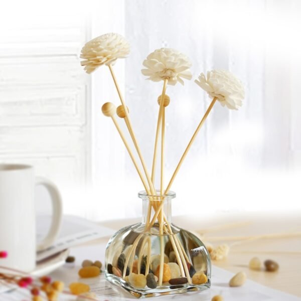 Reed Diffuser(无火藤条香薰)