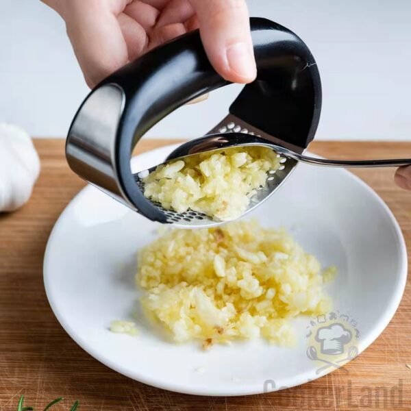Garlic Press(压蒜器)