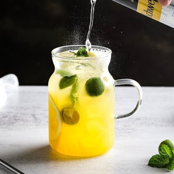 Jug Glass Cup with Handle 水罐玻璃杯