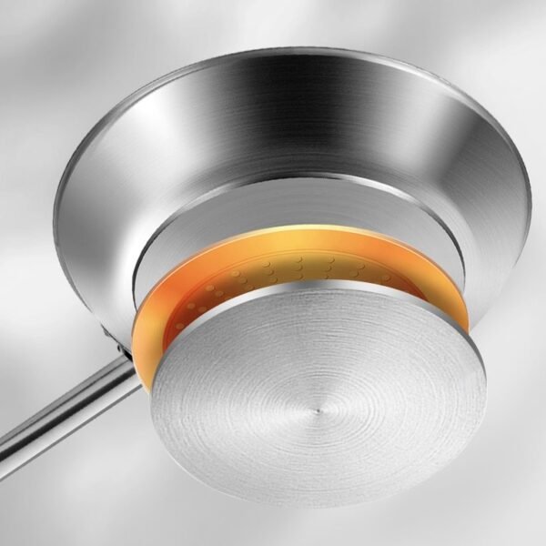 Stainless Steel Frying Pan 复底斜身煎锅 (沙光)